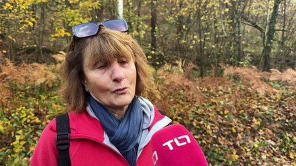 Succès populaire pour les Randonnées du Cidre à Saint-Martin-la-Sauveté