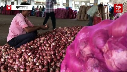 प्याज ने किसानों के निकाले आंसू !, 1 रूपये प्रति किलो प्याज बेचने को मजबूर