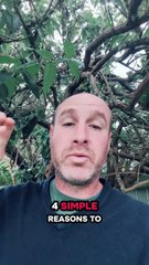 4 Simple Reasons to Build an Email List