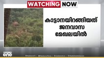 വിതുര - മണലി മേഖലയിൽ  വീണ്ടും  കാട്ടാനയിറങ്ങി
