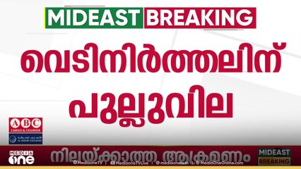 ഒരാളെ വെടിവെച്ച് കൊന്നെന്ന് ഇസ്രായേൽ സൈന്യം ; 282 തവണയാണ് ഇസ്രായേൽ വെടിനിർത്തൽ കരാർ ലംഘിച്ചത്