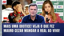 "ISSO É MAIS UMA BABAQUICE!!! O que PRECISA SER DITO é que..." Mauro Cezar | Palmeiras e Flamengo