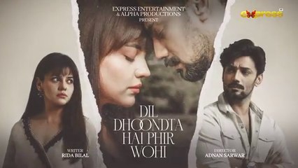 Dil Dhoondta Hai Phir Wohi Episode 13 | Pakistani drama