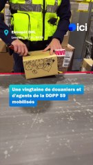 Opération de contrôle de colis à Lesquin par la douane et la DDPP 59