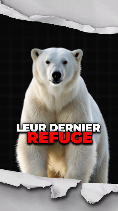 Leur dernier refuge