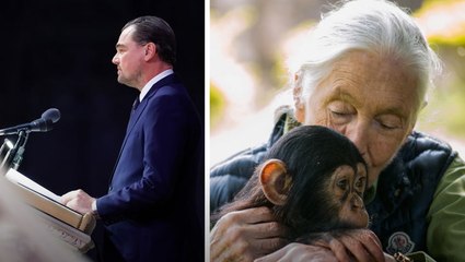 Video: Leonardo DiCaprio’s touching tribute to Jane Goodall