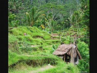 This is the air I breathe