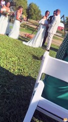 When nature sends its own blessinganimals wedding