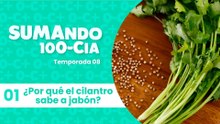 01  ¿Por qué el cilantro sabe a jabón?