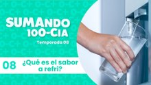 08 ¿Qué es el sabor a refri?