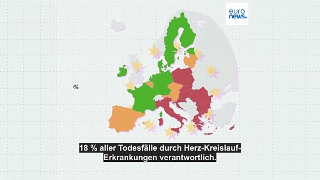 Wie tragen Umweltfaktoren zu Herz-Kreislauf-Erkrankungen bei?