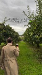 This City in Northern Ireland is Known for its Apple Cider