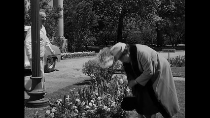 Harvey (1950) - Veta Is Committed Scene | Movieclips