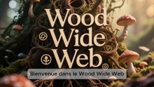 L'INTERNET SOUTERRAIN DES ARBRES : 🤯 Le Secret du Wood Wide Web et la Communication des Forêts