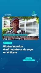 Riadas inundaron al menos 6.000 hectáreas de soya en el norte cruceño