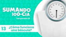 13 ¿Cómo funciona una báscula?