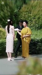 The Little Wanderer's Home / I travel the world as the wind / CEO's secret baby