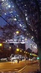 My Loser Husband Is A Financial Tycoon (2025) - FULL [Eng Sub]