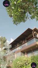 Destinada a mi Alfa Prohibido serie completa en Español