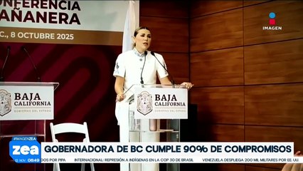 Marina del Pilar ha cumplido el 90% de sus compromisos establecidos