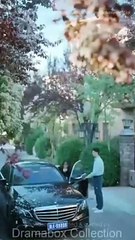 the love that missed its moment