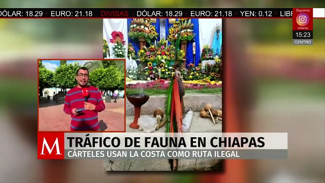 En Chiapas, una nueva ruta del tráfico de fauna, crimen organizado y mafias chinas controlan la zona