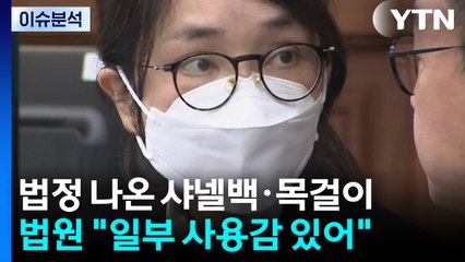 [뉴스UP] 재판서 공개된 샤넬백·구두...판사 "사용감 있다" / YTN