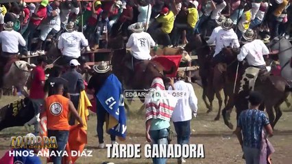 TOROS DE LOS HERMANOS ANAYA DIAZ EN  COTORRA 2025