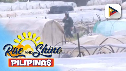Presyo ng mga isda at gulay, tumaas; BFAR, may paalala sa mga lugar na may red tide | ulat ni Vel Custodio