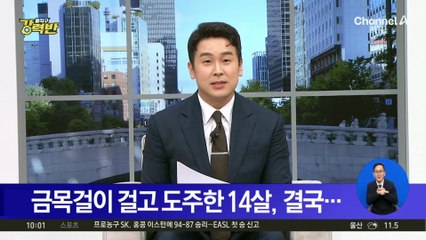 [돌직구 강력반]금목걸이 걸고 도주한 14살, 결국…