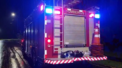 Filhote de cobra é capturado pelos Bombeiros no Conjunto Riviera