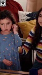 Big Bad Daddy You Are Busted Full Movie