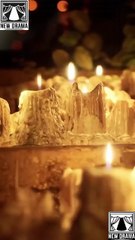 [HOT DRAMA] Love Blooms Under the Moon - Full Movie | Drama On Top