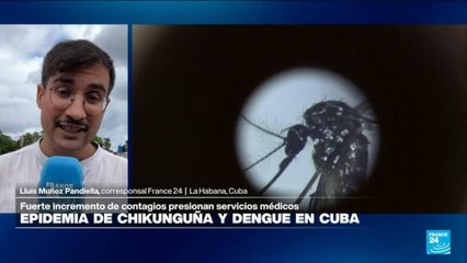 Informe desde La Habana: epidemia de chinkuguña y dengue en Cuba