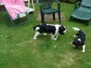 Clélia & Virgile: jeux