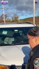 Man Suffers Seizure While Holding Child As ICE Agents Detain His Wife In Fitchburg, Massachusetts