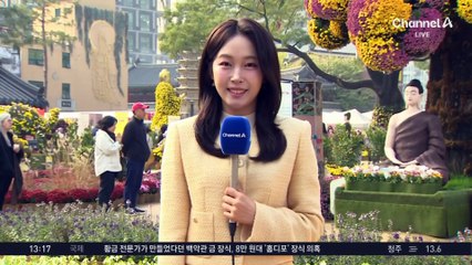 [날씨]온화한 날씨 속 가을 국화 활짝…한때 공기 탁해