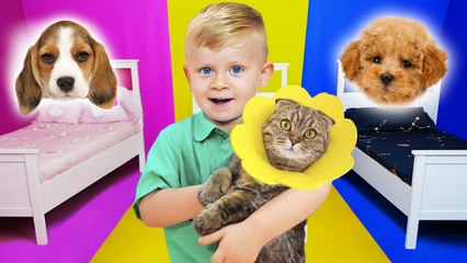 Kids Take Care of Animals at the Pet Hotel