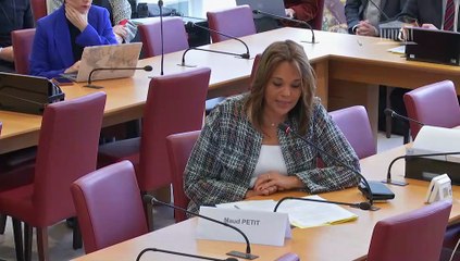 Commission des affaires étrangères : Rejeter le projet d’accord sur les droits de douane entre l’UE et les États-Unis - Mercredi 12 novembre 2025