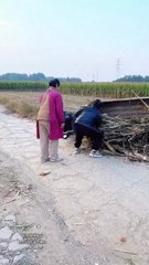 The World's Fastest Backflip? When Helping Goes Wrong!