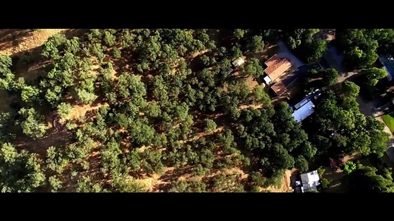 Interpreters Hollywood Movie Hindi Dubbed - Full Sci-Fi Thriller Movie HD