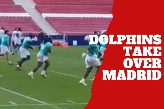 Miami Dolphins take over Atlético de Madrid’s stadium before their Sunday showdown