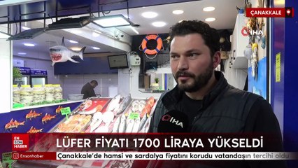 Çanakkale’de hamsi ve sardalya fiyatını korudu vatandaşın tercihi oldu