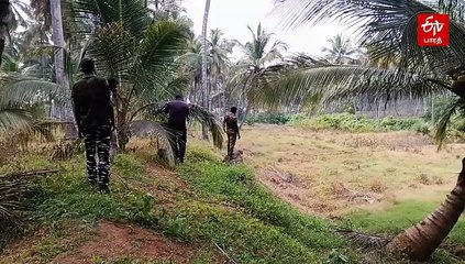 ஆனைமலையில் வனத்துறைக்கு 'தண்ணி' காட்டும் சிறுத்தை! கன்றுக்குட்டியை கொன்றதால் பொதுமக்கள் பீதி!