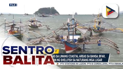 Red tide alert, nakataas sa 5 coastal areas sa bansa ayon sa BFAR; presyo ng isda sa ilang pamilihan, tumaas matapos ang pananalasa ng Bagyong #TinoPH at #UwanPH | ulat ni Vel Custodio