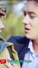 chosen by fate rejected by the Alpha