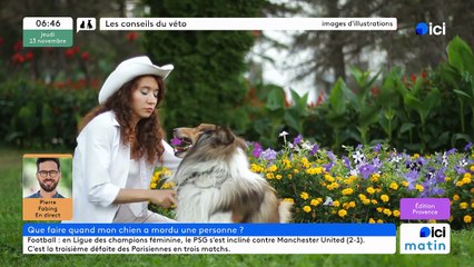 13/11/2025 - ici matin par ici Provence en vidéo