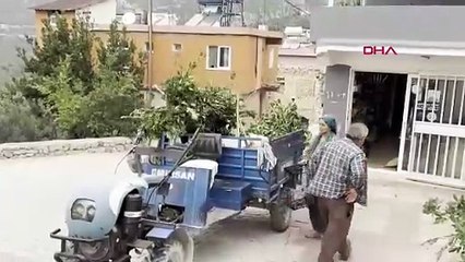 Doğada kendiliğinden yetişiyor, köylülere gelir kapısı oluyor! Kilosu 11 TL