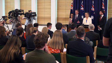 Liberal Party formally abandons net zero by 2050 climate target