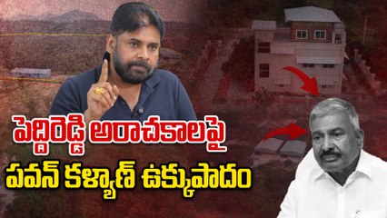 పెద్దిరెడ్డి అరాచకాలపై పవన్ కళ్యాణ్ ఉక్కుపాదం | Pawan Kalyan vs Peddireddy | Oneindia Telugu